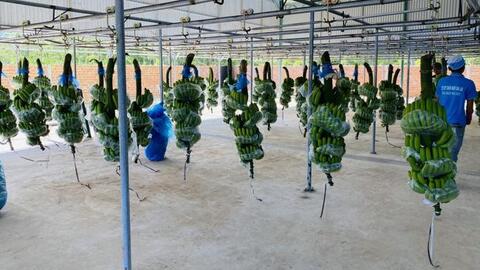 "Chốt" lượng lớn cổ phiếu HAG ngay đỉnh cao, lãi tự doanh Chứng khoán Công Thương đột biến lên 148 tỷ đồng trong quý 4/2021