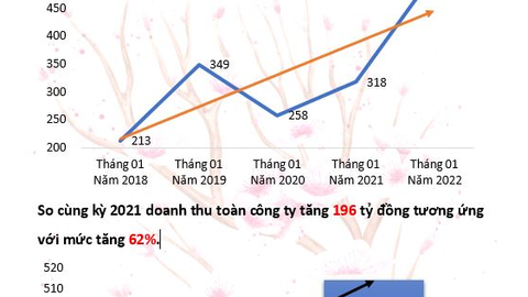 Tháng 1/2022, Dệt may TNG ghi nhận doanh thu kỷ lục 5 năm, tăng trưởng 62% so với cùng kỳ