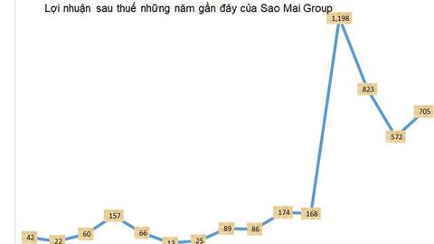 Sao Mai Group (ASM) báo lãi sau thuế 705 tỷ đồng cả năm, tăng 23% so với cùng kỳ
