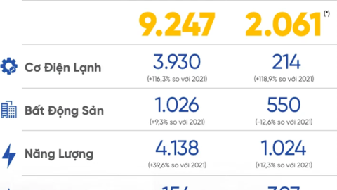Chủ tịch REE – bà Nguyễn Thị Mai Thanh: Chúng tôi đã có lộ trình gấp đôi vốn hoá và đạt doanh thu mức tỷ USD vào năm 2025