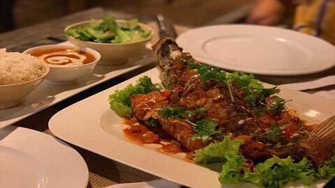 Phú Quốc có resort trong rừng đẹp nhất thế giới: Giá chưa tới 2 triệu đồng/đêm, không TV, điều hòa, tủ lạnh nhưng mở cửa ra là chạm tay vào thiên nhiên