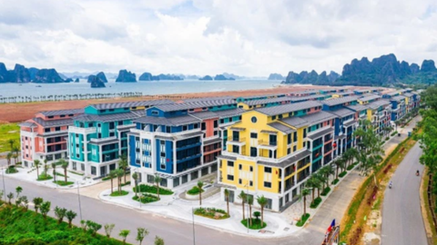 CEO Group (CEO) đặt mục tiêu lợi nhuận tăng bằng lần, không chia cổ tức