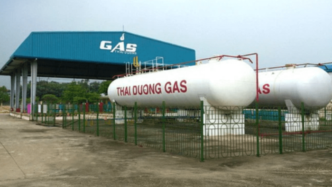 Đầu tư TDG Global (TDG): Quý 1/2022 lãi 4 tỷ đồng tăng mạnh so với cùng kỳ