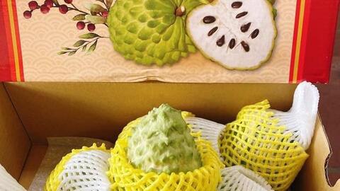 Loại na "siêu to khổng lồ", quả nặng tới 1,5kg có giá gần 1 triệu đồng
