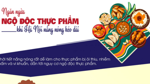 Ngăn ngừa ngộ độc thực phẩm khi Hà Nội nắng nóng kéo dài