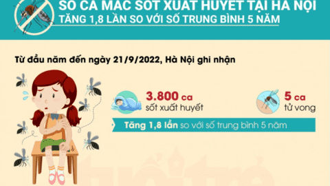 Hà Nội ghi nhận 3.800 ca mắc sốt xuất huyết, 5 người đã tử vong