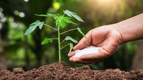 LAS báo lãi quý 3/2023 gấp 3 lần cùng kỳ, gần cán đích kế hoạch lợi nhuận năm sau 9 tháng