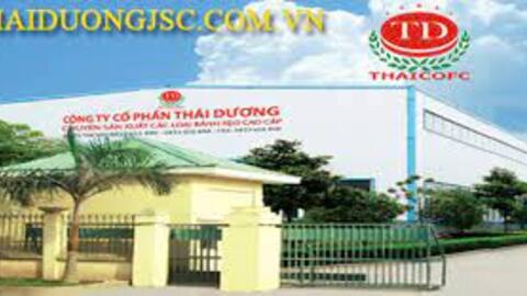 Thai Duong Capital bị xử phạt 85 triệu đồng