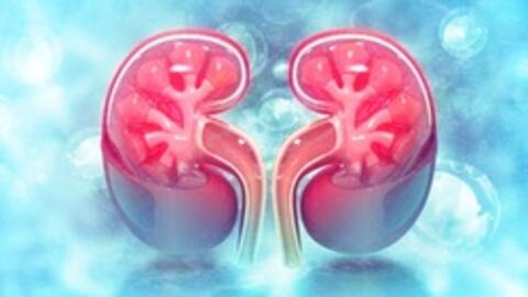 3 loại nước nếu uống quá nhiều sẽ khiến thận xuống cấp nhanh chóng: Toàn thứ nhiều người “mê”