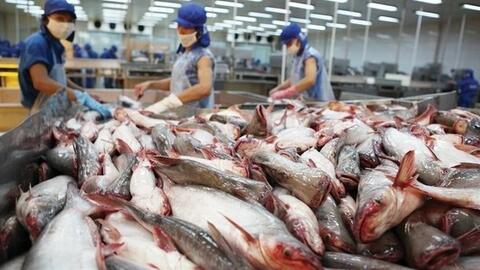 Vĩnh Hoàn xin lùi hạn nộp BCTC quý I/2024 tới ngày 15/5