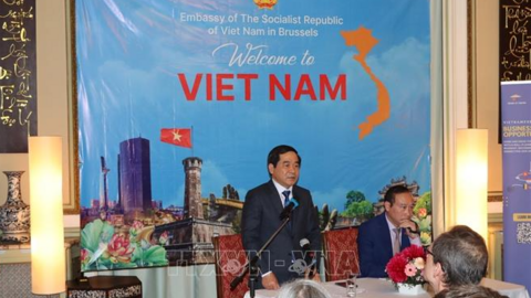 Thái Bình mong muốn thu hút đầu tư và hợp tác kinh doanh với các đối tác của Bỉ