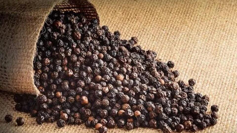 Giá hồ tiêu tăng mạnh, xuất khẩu sang nhiều thị trường tăng gấp đôi