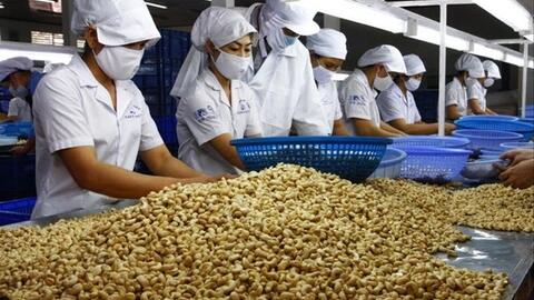 Doanh nghiệp lo tỷ giá tăng