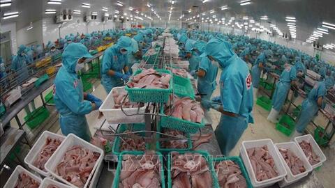 Việt Nam không bán phá giá sản phẩm cá tra tại Mỹ