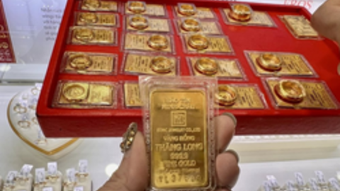 Giá vàng SJC, giá vàng nhẫn hôm nay ngày 2/10