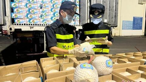 Những lô dừa tươi Việt Nam đầu tiên có mặt tại thị trường Trung Quốc