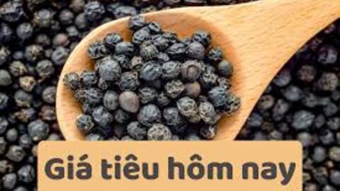 Giá tiêu hôm nay 24/6/2025: trong nước cao nhất 125.000 đồng/kg