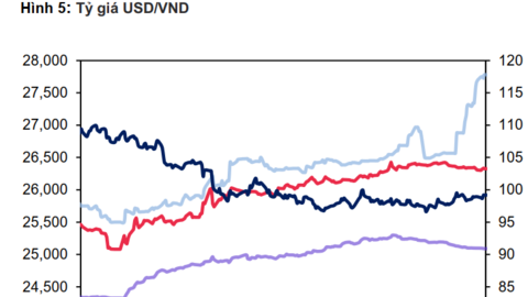 Tỷ giá USD chợ đen tăng hơn 8% từ đầu năm, riêng tháng 10 tăng 4,7%