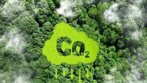 Thị trường tín chỉ carbon: “Tài sản xanh” mở đường cho kinh tế bền vững