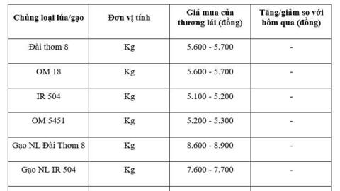 Giá lúa gạo hôm nay ngày 20/11: Gạo bình ổn, lúa tươi chững giá