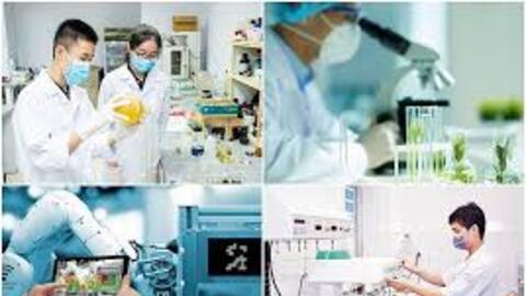 Kết nối khoa học - nghệ thuật, hướng tới phát triển bền vững và hội nhập quốc tế