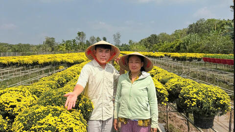 TikToker Thiện Nhân livestream 4 giờ, tiêu thụ 1.600 chậu cúc mâm xôi