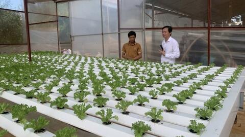 Lâm Đồng: Xây dựng kịch bản tăng trưởng theo chuyên ngành trên 4 lĩnh vực