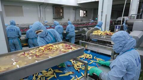 Lâm Đồng: Dư địa lớn nhưng thiếu ‘cú hích’ đầu tư chế biến sâu