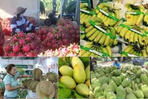 Chế biến sâu: Đòn bẩy đưa nông sản Việt vươn xa