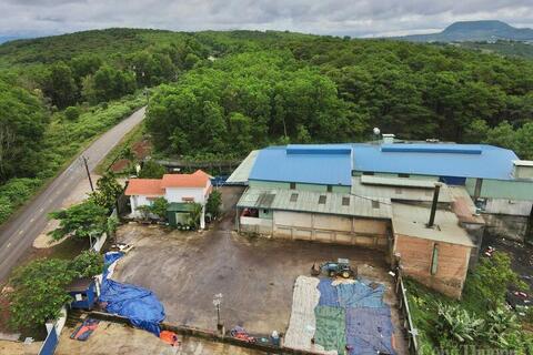 Thấy gì từ việc sản xuất hàng giả giữa thủ phủ cà phê thật?