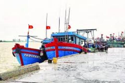 Đẩy mạnh liên thông dữ liệu, siết quản lý tàu cá phục vụ chống khai thác IUU