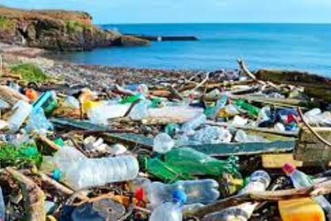 Thúc đẩy sáng kiến giảm thiểu rác thải nhựa, phát triển du lịch xanh