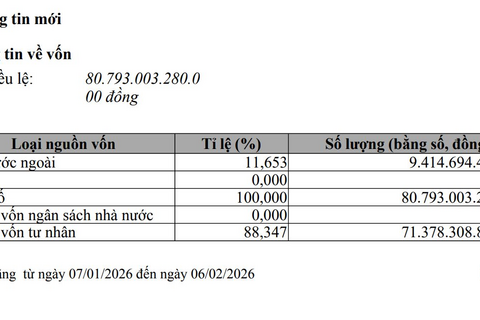 VinFast tăng vốn thêm 30.000 tỷ lên gần 81.000 tỷ, lớn hơn cả Vingroup