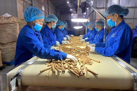 Công nghệ xanh ‘mở lối’ tăng trưởng bền vững trong trật tự kinh tế mới