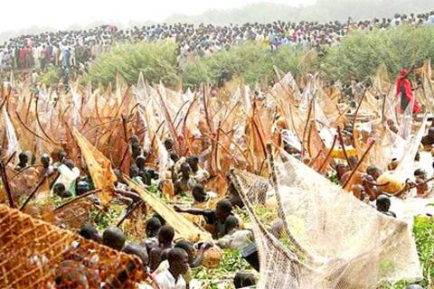 Lễ hội đánh cá Argungu nổi tiếng tại Nigeria trở lại sau 6 năm