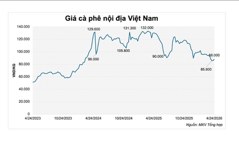 Giá cà phê tăng bật tăng mạnh, nguồn cung bị thắt chặt
