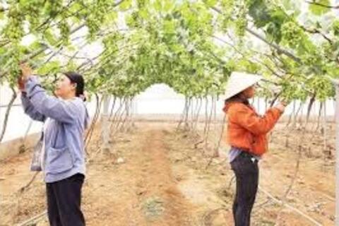 Phước Hải đứng trước “thời điểm vàng” để chuyển mình