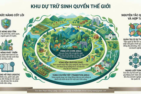 Phát triển chuỗi giá trị và sinh kế bền vững ở vùng lõi Măng Ri