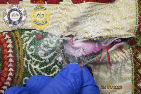 Nữ tiếp viên Thai Airways bị bắt tại Úc vì vận chuyển 1 kg heroin trong hành lý