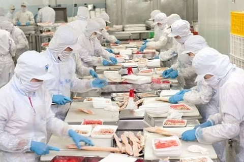 Nam Việt (ANV) lãi quý II giảm gần 60%, dòng tiền kinh doanh âm hơn 130 tỷ đồng