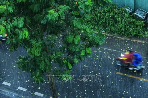 Thời tiết hôm nay (4-8): Bắc Bộ nhiều nơi có mưa to