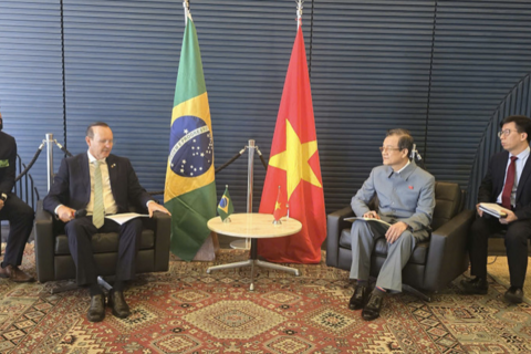 Đảng Cộng sản Việt Nam thúc đẩy hợp tác với các lực lượng chính trị Brazil