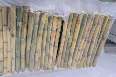 Tiêu điểm 24h