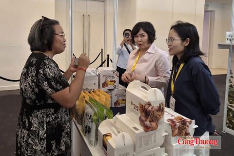 Gần 200 gian hàng tham gia Ngày hội xúc tiến giao thương Hàn - Việt