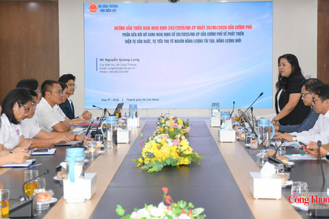 Tiêu điểm 24h