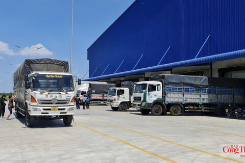 TP. Hồ Chí Minh muốn logistics thoát khỏi cuộc đua 'xe - kho - bãi'