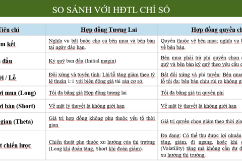Hợp đồng quyền chọn chỉ số: Khác biệt trong cơ chế giao dịch và quản trị rủi ro