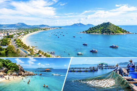 Tiêu điểm 24h
