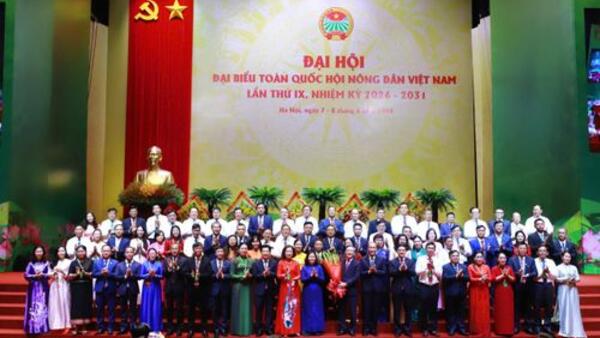 Tiêu điểm 24h