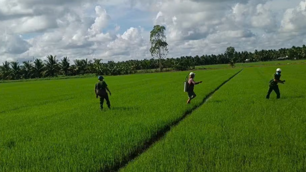 Tiêu điểm 24h